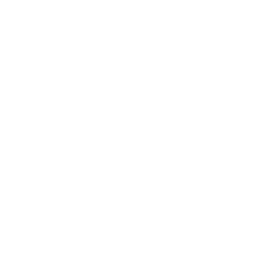 feature-icon