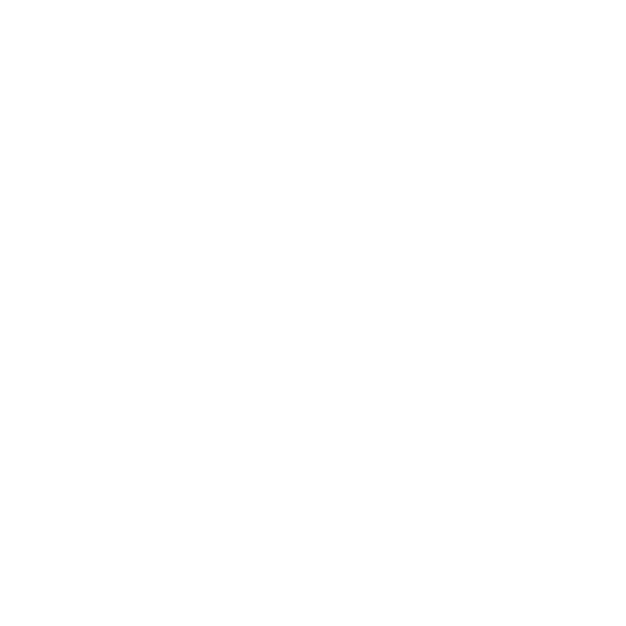 feature-icon