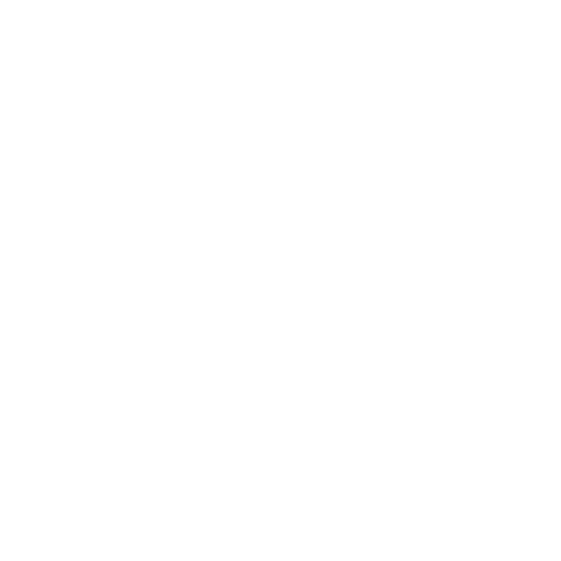 feature-icon