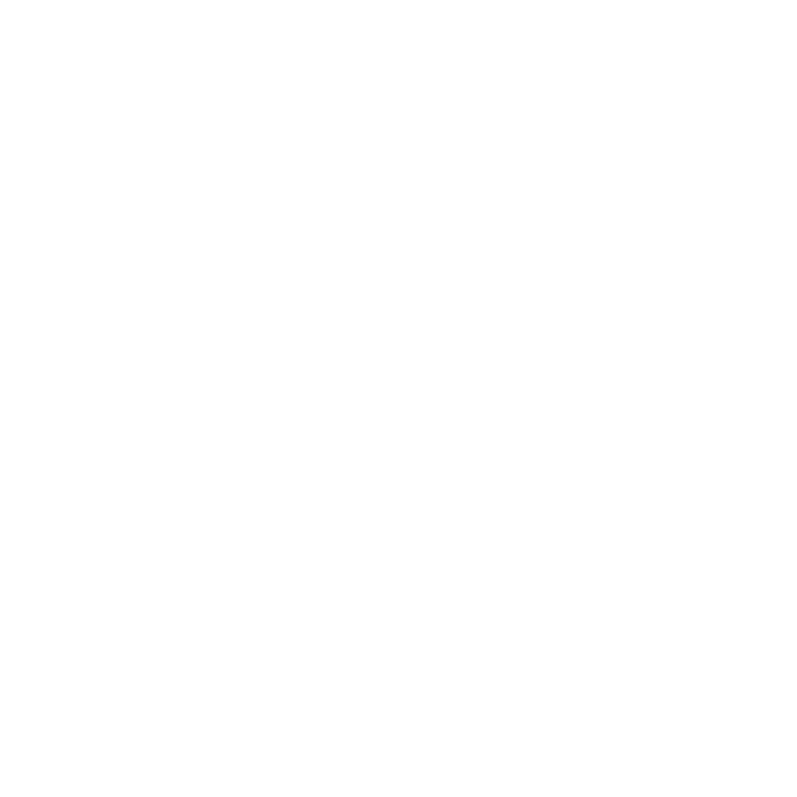 feature-icon